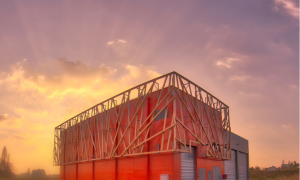 L’énergie issue du bois, c'est pire que le fioul, non ?